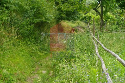 Helårsgrund i Vila Verde, Braga, Vila Verde - € 15.000 | Ref: 04379 - foto 5