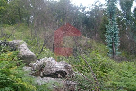 Helårsgrund i Vila Verde, Braga, Vila Verde - € 15.000 | Ref: 04379 - foto 8