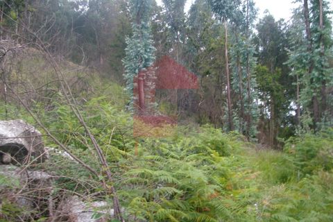 Helårsgrund i Vila Verde, Braga, Vila Verde - € 15.000 | Ref: 04379 - foto 9