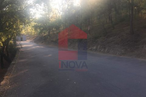 Helårsgrund i Vila Verde, Braga, Vila Verde - € 20.000 | Ref: 06072 - foto 2