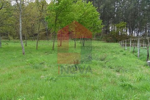 Helårsgrund i Vila Verde, Braga, Vila Verde - € 16.500 | Ref: 05911 - foto 2