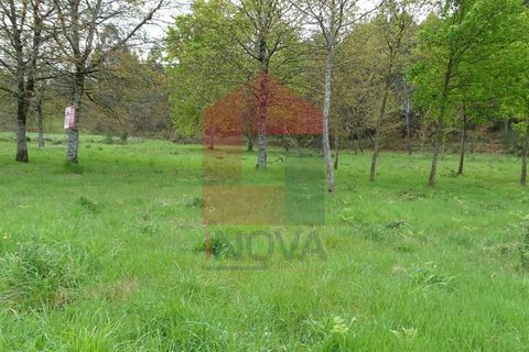 Helårsgrund i Vila Verde, Braga, Vila Verde - € 16.500 | Ref: 05911 - foto 3