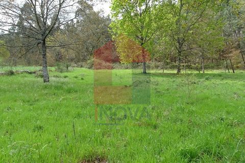 Helårsgrund i Vila Verde, Braga, Vila Verde - € 16.500 | Ref: 05911 - foto 5
