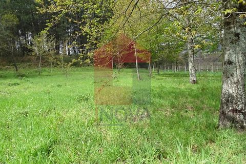 Helårsgrund i Vila Verde, Braga, Vila Verde - € 16.500 | Ref: 05911 - foto 7