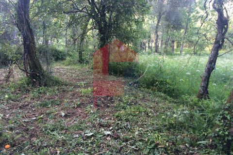 Byhus i Vila Verde, Braga, Vila Verde - € 56.500 | Ref: 05942 - foto 10