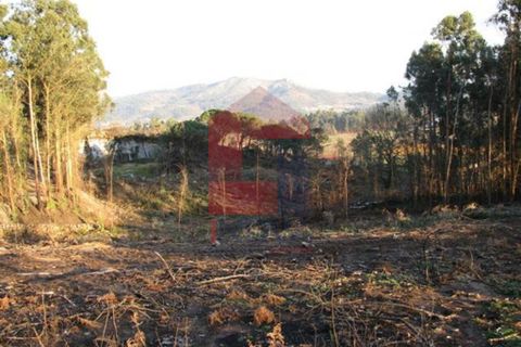 Helårsgrund i Vila Verde, Braga, Vila Verde - € 30.000 | Ref: 01778 - foto 7