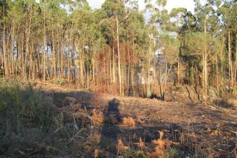 Helårsgrund i Vila Verde, Braga, Vila Verde - € 30.000 | Ref: 01778 - foto 9