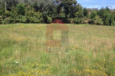 Helårsgrund i Vila Verde, Braga, Vila Verde - € 26.500 | Ref: 04433 - foto 3