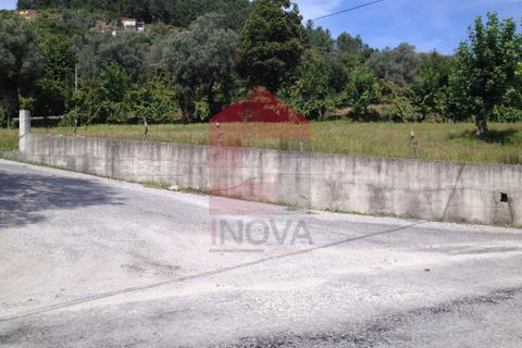 Helårsgrund i Vila Verde, Braga, Vila Verde - € 26.500 | Ref: 04433 - foto 11