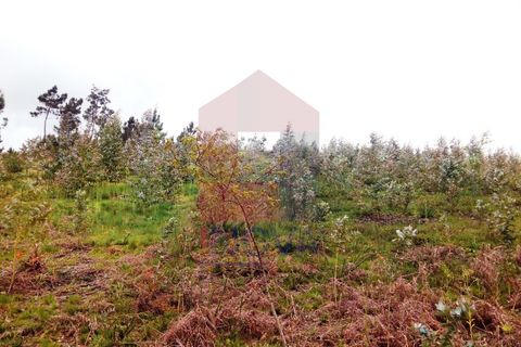 Helårsgrund i Vila Verde, Braga, Vila Verde - € 29.000 | Ref: 05354 - foto 2