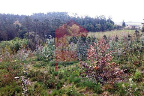 Helårsgrund i Vila Verde, Braga, Vila Verde - € 29.000 | Ref: 05354 - foto 4