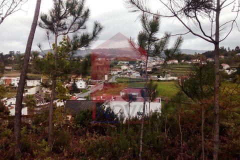 Helårsgrund i Vila Verde, Braga, Vila Verde - € 29.000 | Ref: 05354 - foto 7