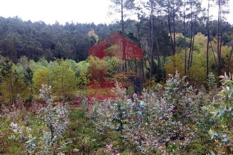 Helårsgrund i Vila Verde, Braga, Vila Verde - € 29.000 | Ref: 05354 - foto 8