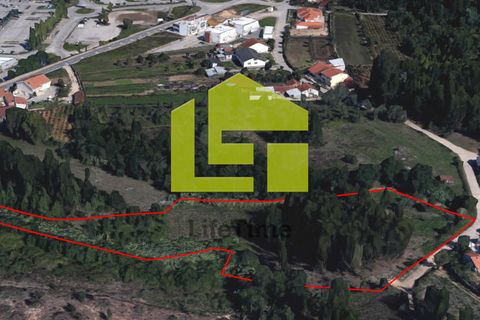 Helårsgrund i Coimbra, Coimbra, Coimbra - € 170.000 | Ref: LT0570 - foto 2