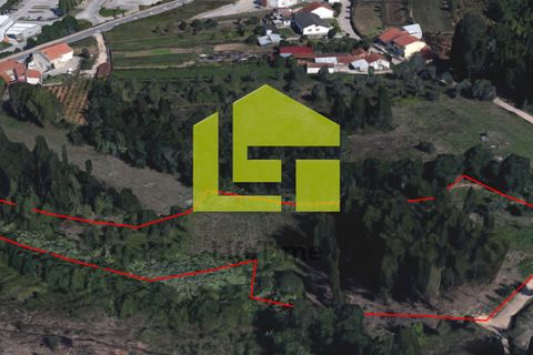 Helårsgrund i Coimbra, Coimbra, Coimbra - € 170.000 | Ref: LT0570 - foto 5