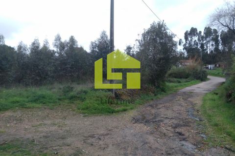 Helårsgrund i Coimbra, Coimbra, Coimbra - € 170.000 | Ref: LT0570 - foto 6