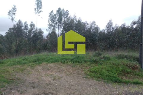 Helårsgrund i Coimbra, Coimbra, Coimbra - € 170.000 | Ref: LT0570 - foto 7