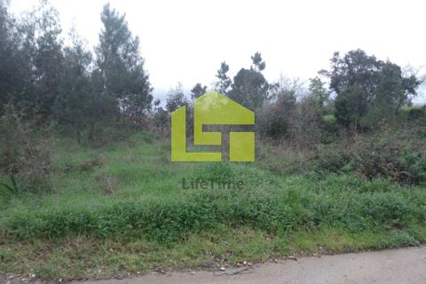 Helårsgrund i Coimbra, Coimbra, Coimbra - € 170.000 | Ref: LT0570 - foto 8