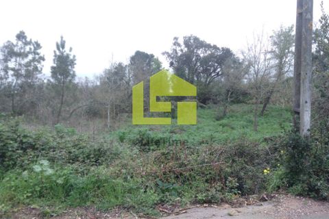 Helårsgrund i Coimbra, Coimbra, Coimbra - € 170.000 | Ref: LT0570 - foto 9