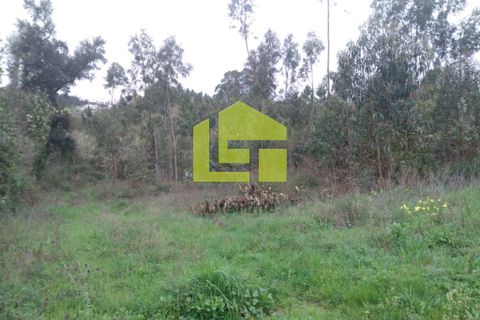 Helårsgrund i Coimbra, Coimbra, Coimbra - € 170.000 | Ref: LT0570 - foto 11