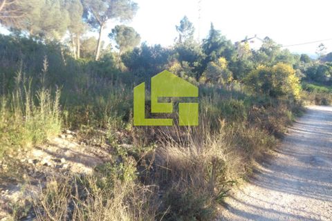 Helårsgrund i Coimbra, Coimbra, Coimbra - € 370.000 | Ref: LT0247 - foto 1