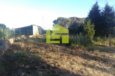 Helårsgrund i Coimbra, Coimbra, Coimbra - € 370.000 | Ref: LT0247 - foto 2
