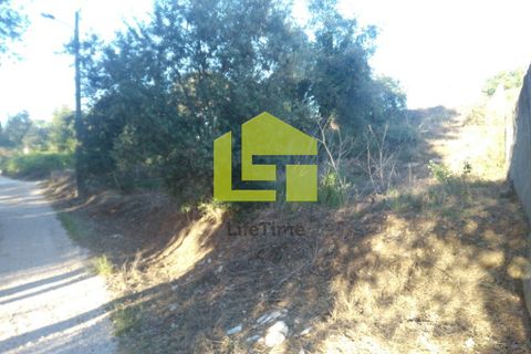 Helårsgrund i Coimbra, Coimbra, Coimbra - € 370.000 | Ref: LT0247 - foto 3
