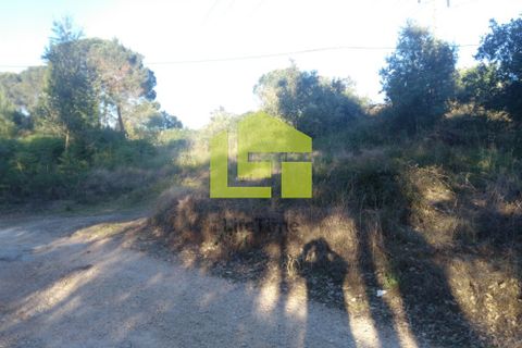 Helårsgrund i Coimbra, Coimbra, Coimbra - € 370.000 | Ref: LT0247 - foto 5