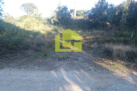 Helårsgrund i Coimbra, Coimbra, Coimbra - € 370.000 | Ref: LT0247 - foto 6