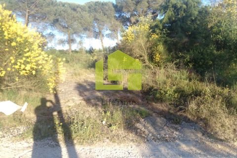 Helårsgrund i Coimbra, Coimbra, Coimbra - € 370.000 | Ref: LT0247 - foto 8