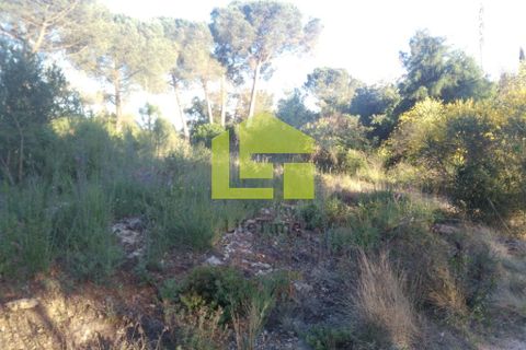Helårsgrund i Coimbra, Coimbra, Coimbra - € 370.000 | Ref: LT0247 - foto 10