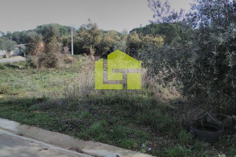 Helårsgrund i Coimbra, Coimbra, Coimbra - € 260.000 | Ref: LT0044 - foto 2
