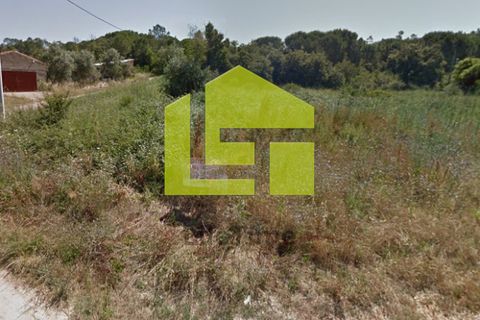 Helårsgrund i Coimbra, Coimbra, Coimbra - € 260.000 | Ref: LT0044 - foto 7