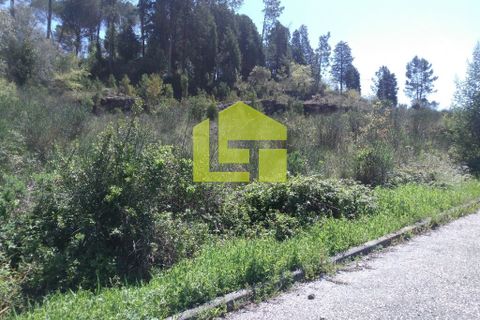 Helårsgrund i Coimbra, Coimbra, Coimbra - € 45.000 | Ref: LT0027 - foto 1