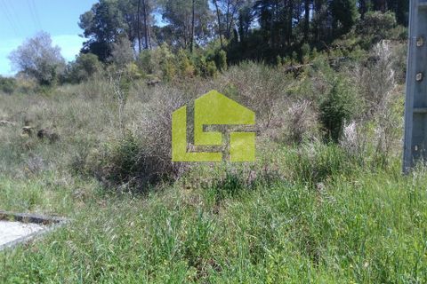 Helårsgrund i Coimbra, Coimbra, Coimbra - € 45.000 | Ref: LT0027 - foto 2