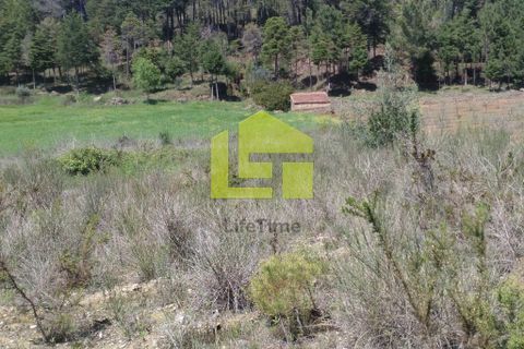 Helårsgrund i Coimbra, Coimbra, Coimbra - € 45.000 | Ref: LT0027 - foto 5