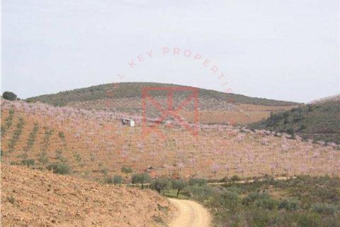 Farm i Torre de Moncorvo, Braganca, Torre de Moncorvo - € 1.500.000 | Ref: 1189 - foto 5