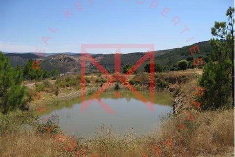 Farm i Torre de Moncorvo, Braganca, Torre de Moncorvo - € 1.500.000 | Ref: 1189 - foto 13
