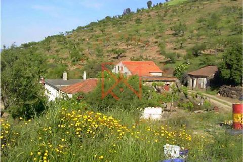 Farm i Torre de Moncorvo, Braganca, Torre de Moncorvo - € 1.500.000 | Ref: 1189 - foto 15