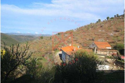 Farm i Torre de Moncorvo, Braganca, Torre de Moncorvo - € 1.500.000 | Ref: 1189 - foto 16