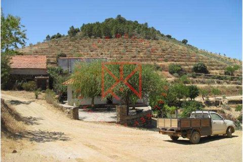 Farm i Torre de Moncorvo, Braganca, Torre de Moncorvo - € 1.500.000 | Ref: 1189 - foto 17