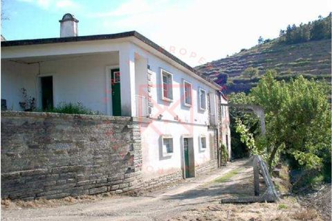 Farm i Torre de Moncorvo, Braganca, Torre de Moncorvo - € 1.500.000 | Ref: 1189 - foto 18