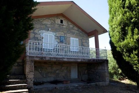 Farm i Mangualde, Viseu, Mangualde - € 1.600.000 | Ref: 83 - foto 17