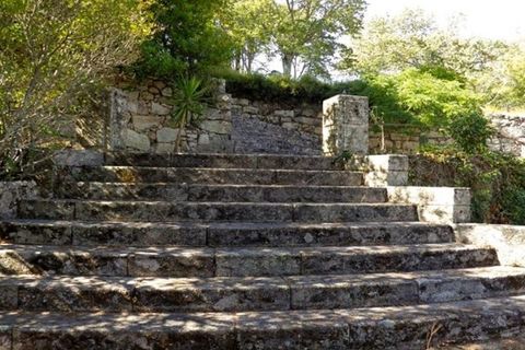 Farm i Mangualde, Viseu, Mangualde - € 1.600.000 | Ref: 83 - foto 20
