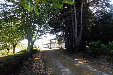 Farm i Mangualde, Viseu, Mangualde - € 1.600.000 | Ref: 83 - foto 22