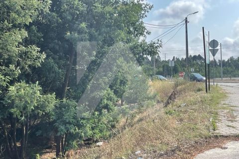 Helårsgrund i Ovar, Aveiro, Ovar - € 450.000 | Ref: 106.616 - foto 5
