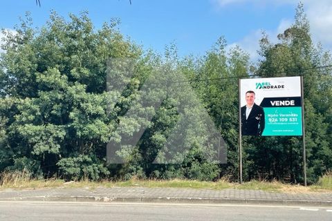 Helårsgrund i Ovar, Aveiro, Ovar - € 450.000 | Ref: 106.616 - foto 7