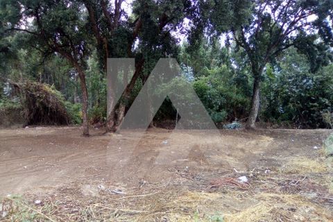 Helårsgrund i Ovar, Aveiro, Ovar - € 95.000 | Ref: 106.433 - foto 2