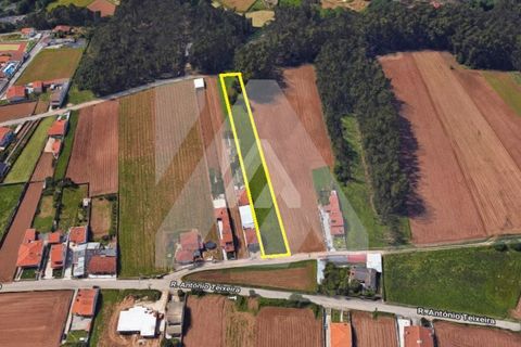 Helårsgrund i Ovar, Aveiro, Ovar - € 70.000 | Ref: 106.91 - foto 2