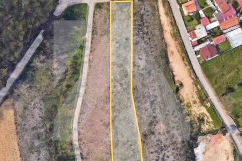 Helårsgrund i Ovar, Aveiro, Ovar - € 55.000 | Ref: 106.562 - foto 2